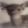 tess's profile picture