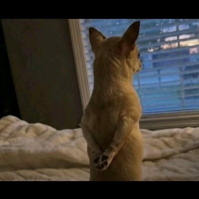 dulceLarsson's profile picture