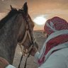 سعد717's profile picture
