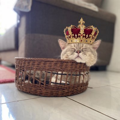 NADIYYA's profile picture