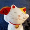 🌟きらりん🌟 的头像