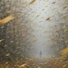 紅山 風 profil fotoğrafı