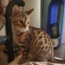 toshi12o21^._.^'s profile picture