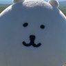 Profilbild von leiniao