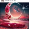 ahmet 38 的头像