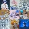 Aoazisai profil fotoğrafı