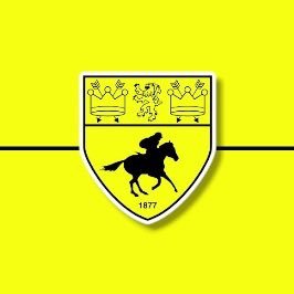 NewmarketTownFC's profile picture
