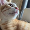 Profilbild von Yuri