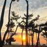 Фото профиля 소자