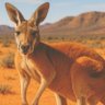 Proud Aussie 🇦🇺🦘's profile picture