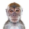 Pandi57 profil fotoğrafı