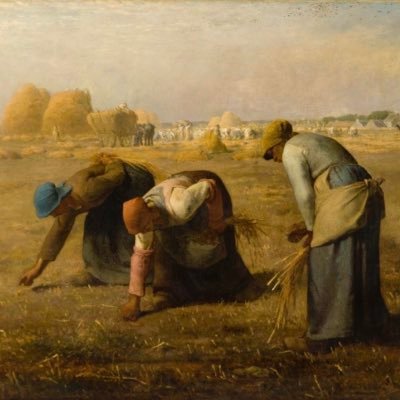 orsay2026_27's profile picture
