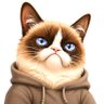 RevueltoGramajo's profile picture