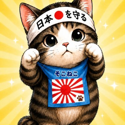 sokoneko222's profile picture