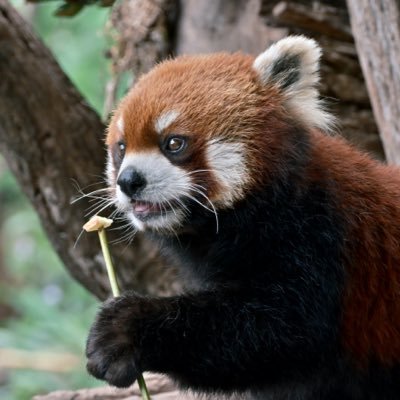 FrankLeo888's profile picture