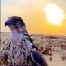 Mo7 profil fotoğrafı