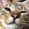 Profilbild von あきもん