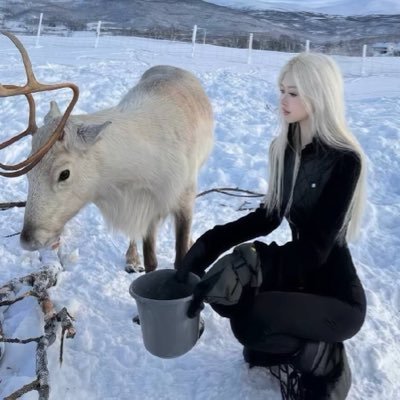 xys822's profile picture