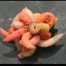 Ian Wilkins's profile picture