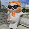 Profilbild von Amikung29