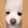 withp ◟✦ 的头像