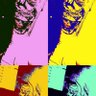 Nmo KR's profile picture