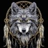 Jimmy Korona's profile picture