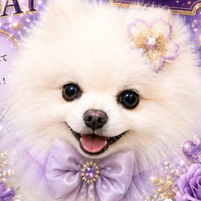 ♡ᩚはち𐔌՞⁔•͈ ·̫ •͈⁔՞𐦯🐾♡ᩚ's profile picture