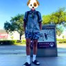 GD🐶 profil fotoğrafı
