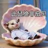 chigua-shushu 的头像