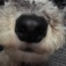 Profilbild von Korrect