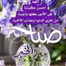 محمد عمر احمد الربيعي 的头像
