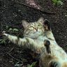 Фото профиля chen