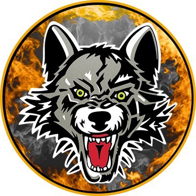 Chicago_Wolves's profile picture