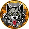 Фото профиля Chicago Wolves