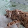 ユンジュ0107 profil fotoğrafı