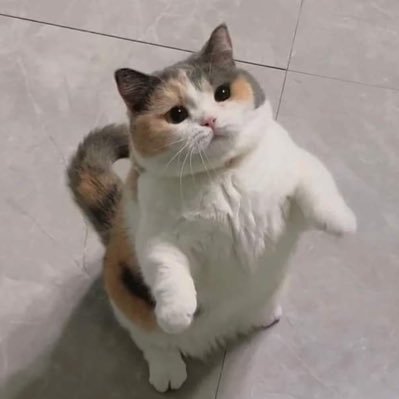 hoeswas4's profile picture