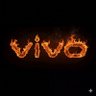 Vivo's profile picture