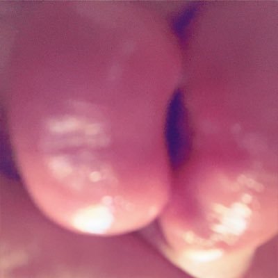 icream_kittin's profile picture