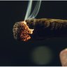 Baked Asf profil fotoğrafı
