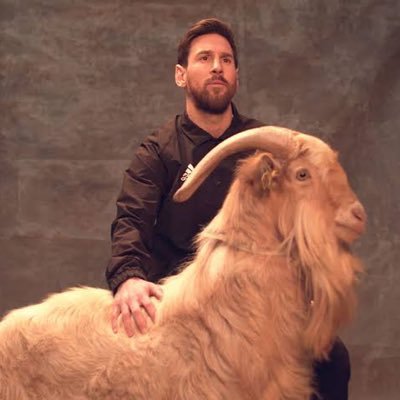 HasanPasa's profile picture