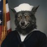 SeaWolfTx's profile picture