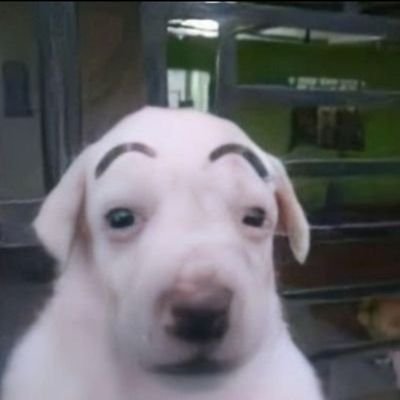 JumentoKase's profile picture