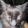 ace. profil fotoğrafı