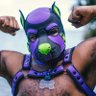 Pup Vortex (The ‘Tex) profil fotoğrafı