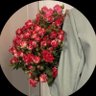 حكاية مـــــطر🕊️ profil fotoğrafı