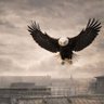 bornFC profil fotoğrafı