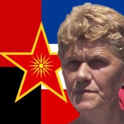 Лиле Стечајка's profile picture
