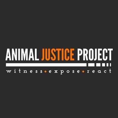 AnimalJusticeProject's profile picture