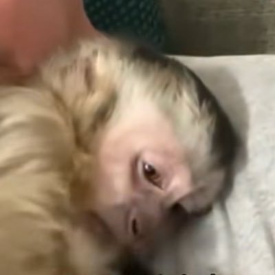 Quiron's profile picture